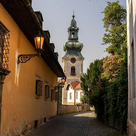 Prijemny Oddych 3* Banska Stiavnica